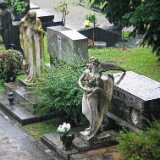 DSCF2091