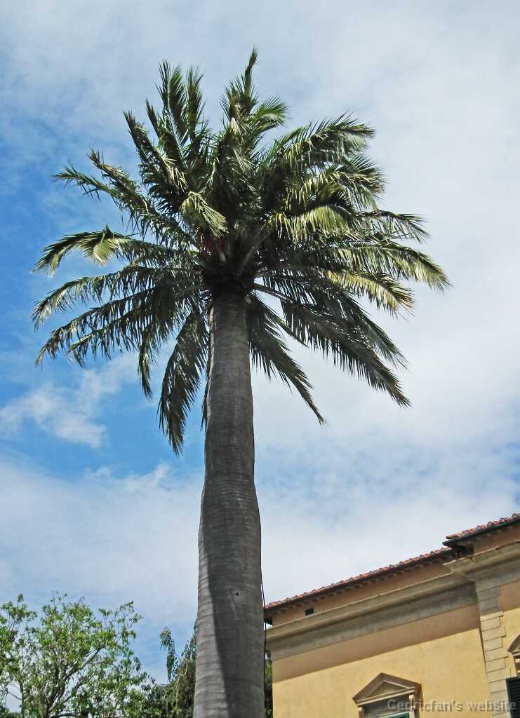 DSCF2172