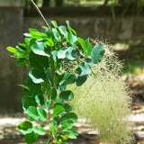 DSCF2169