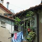 DSCF2175