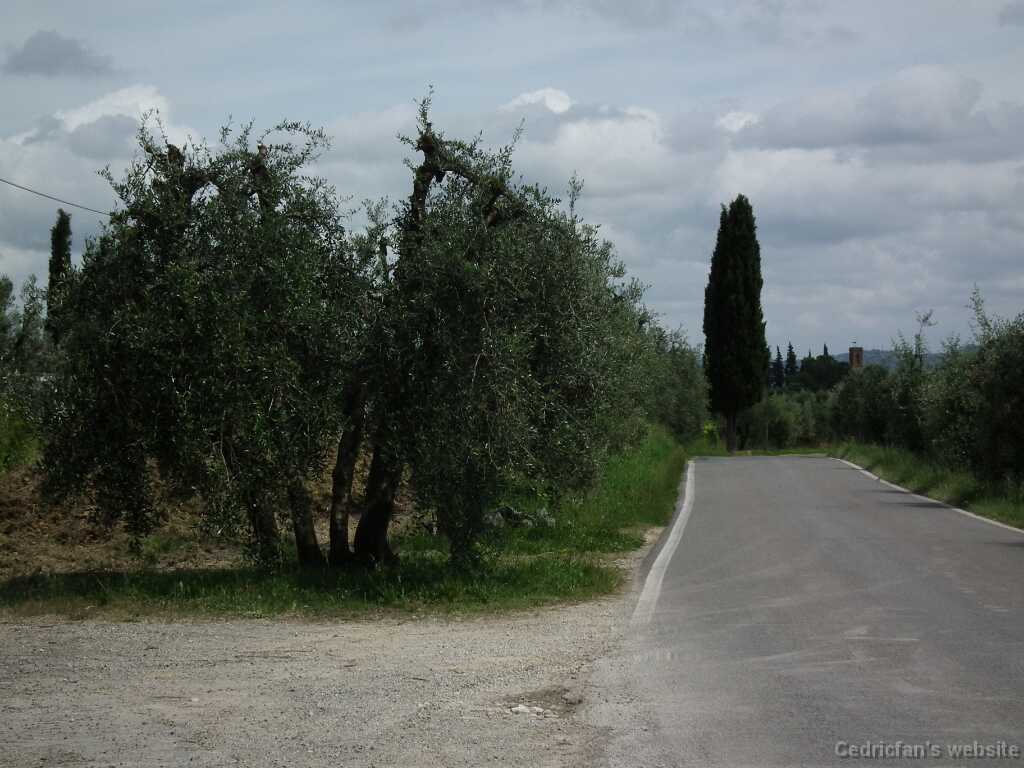 DSCF2217