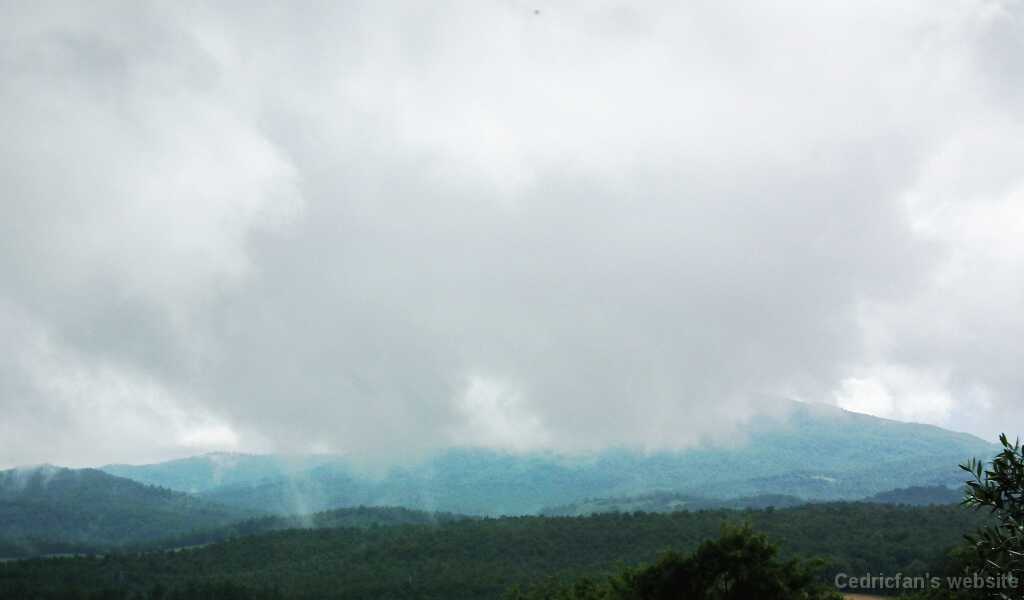 DSCF2261