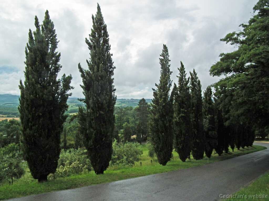 DSCF2263