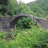 DSCF2247