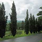 DSCF2263