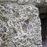 DSCF2284