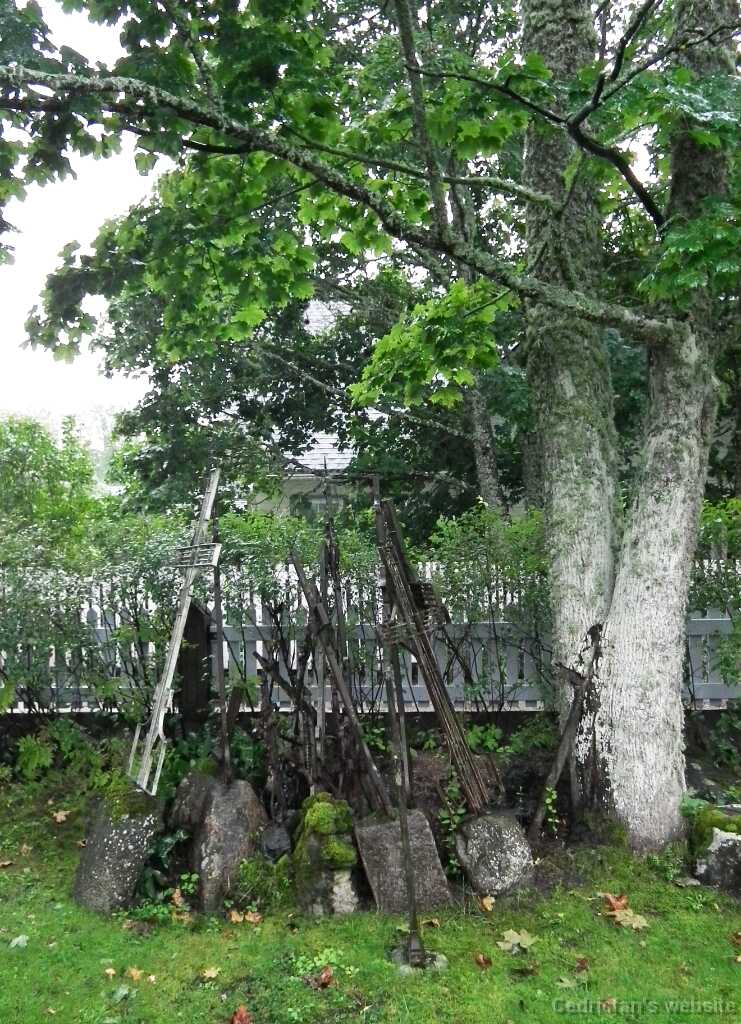 DSCF2610