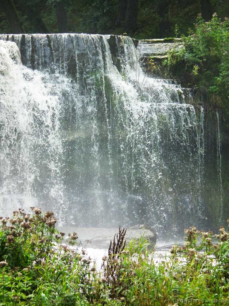 DSCF2959