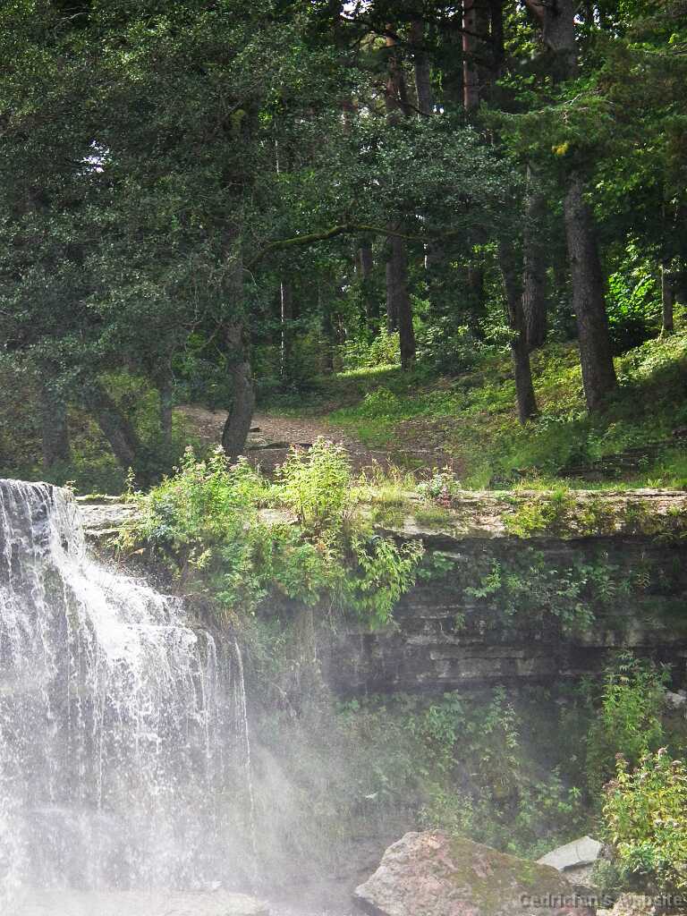 DSCF2965