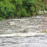 DSCF2954