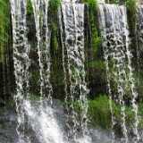 DSCF2962