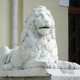 DSCF2973