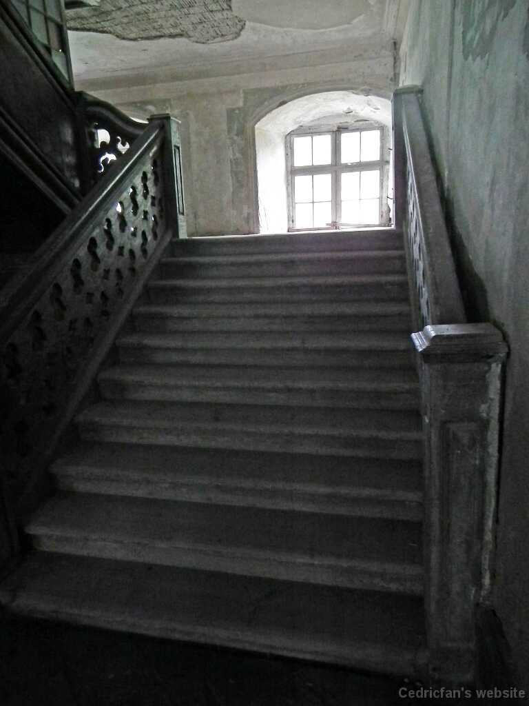 DSCF2615