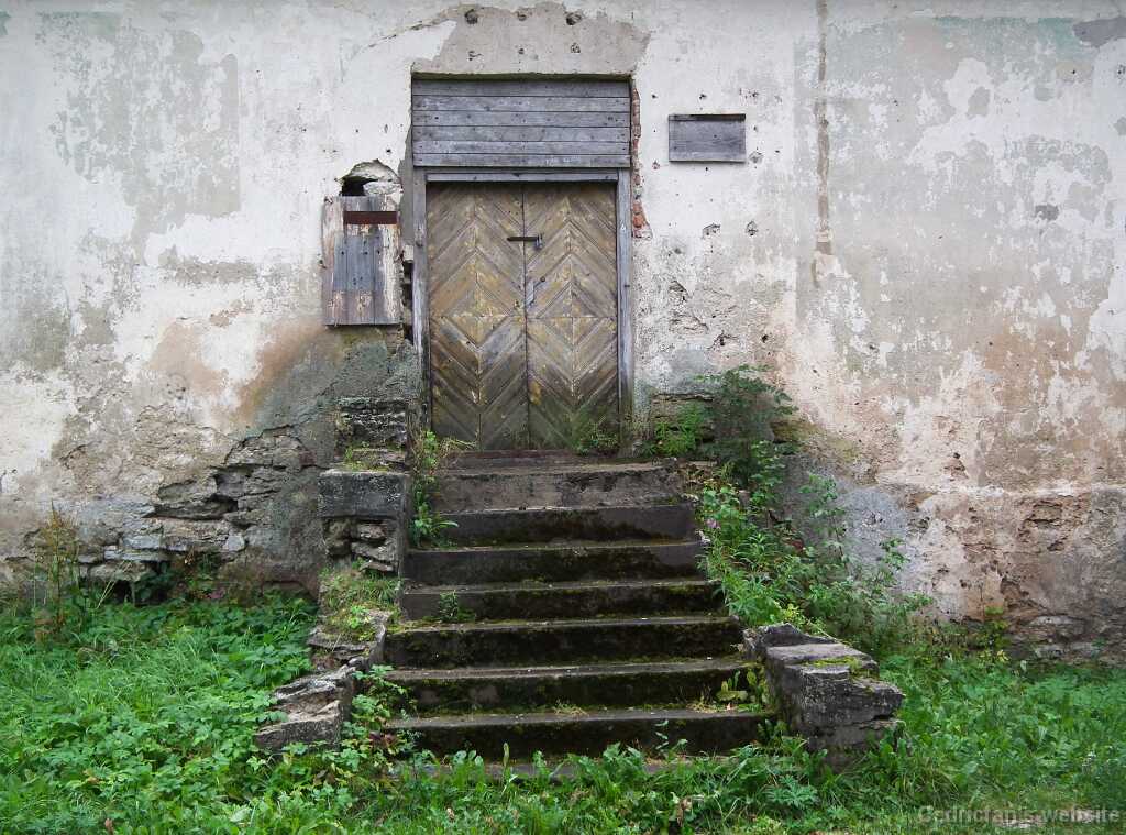 DSCF2641