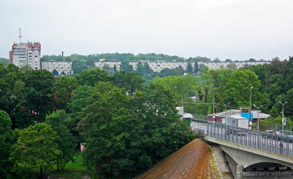 DSCF2703