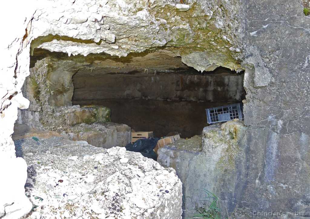 L1090068