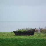 DSCF2706