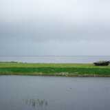 DSCF2714