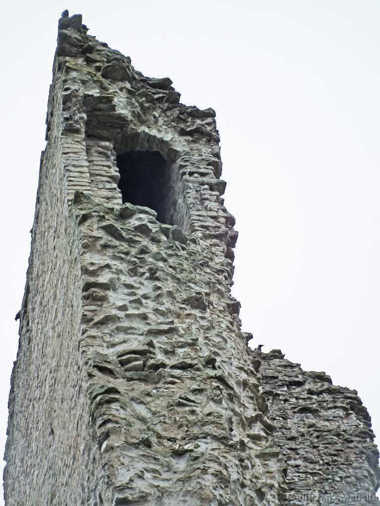 DSCF2670