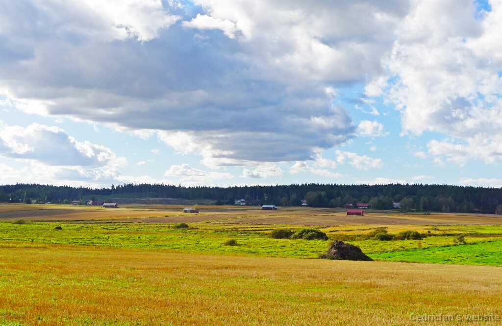 L1090090