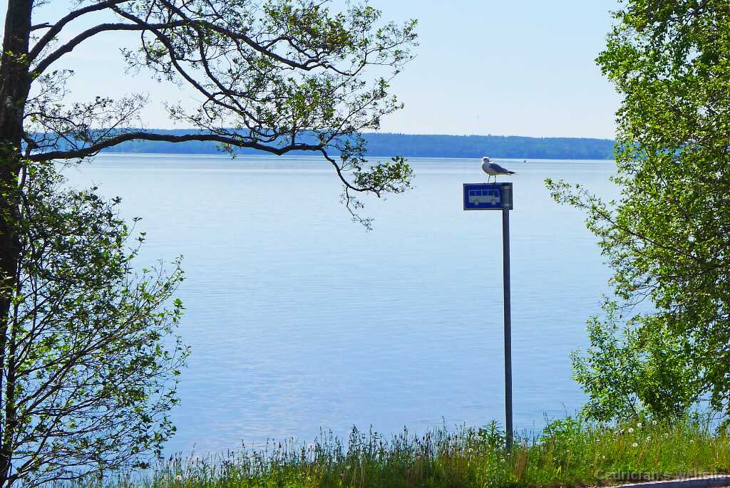 L1090345