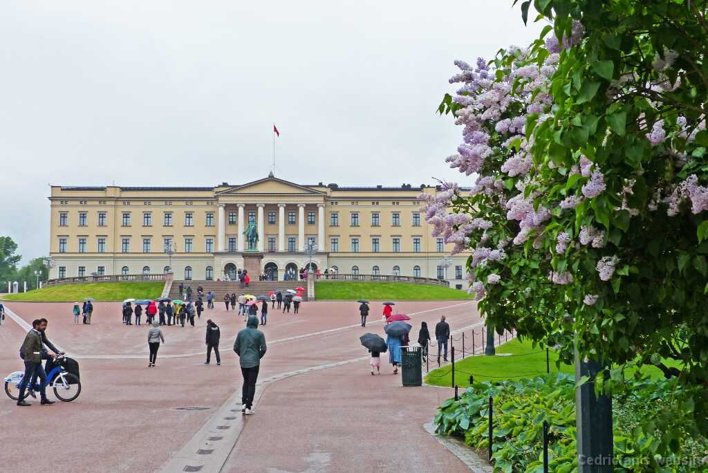 P1270566
