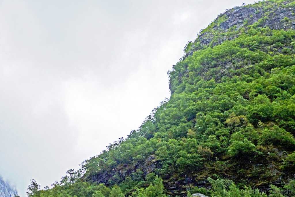 P1270653