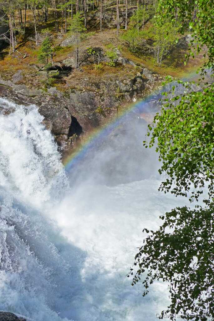 P1270758