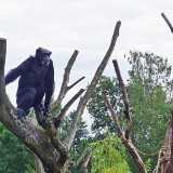 Zoo