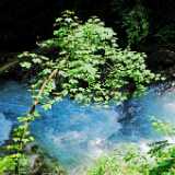 DSCF9541