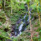 DSCF9542