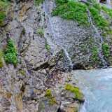 DSCF9546