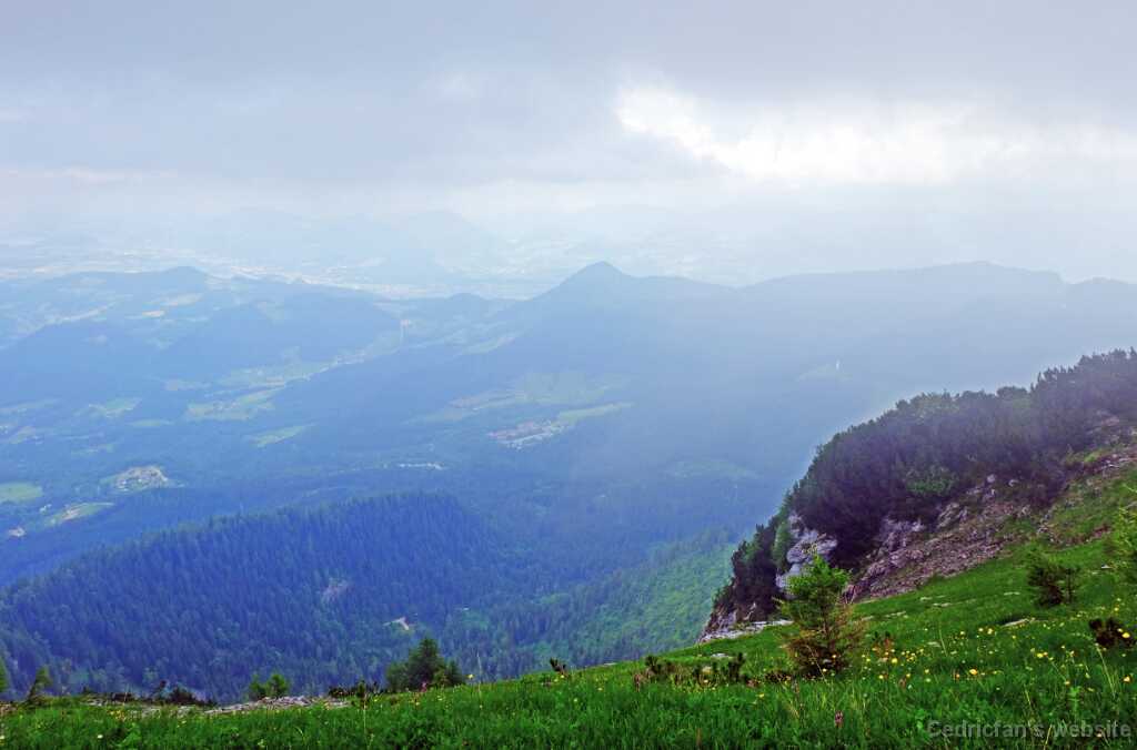 DSCF9592
