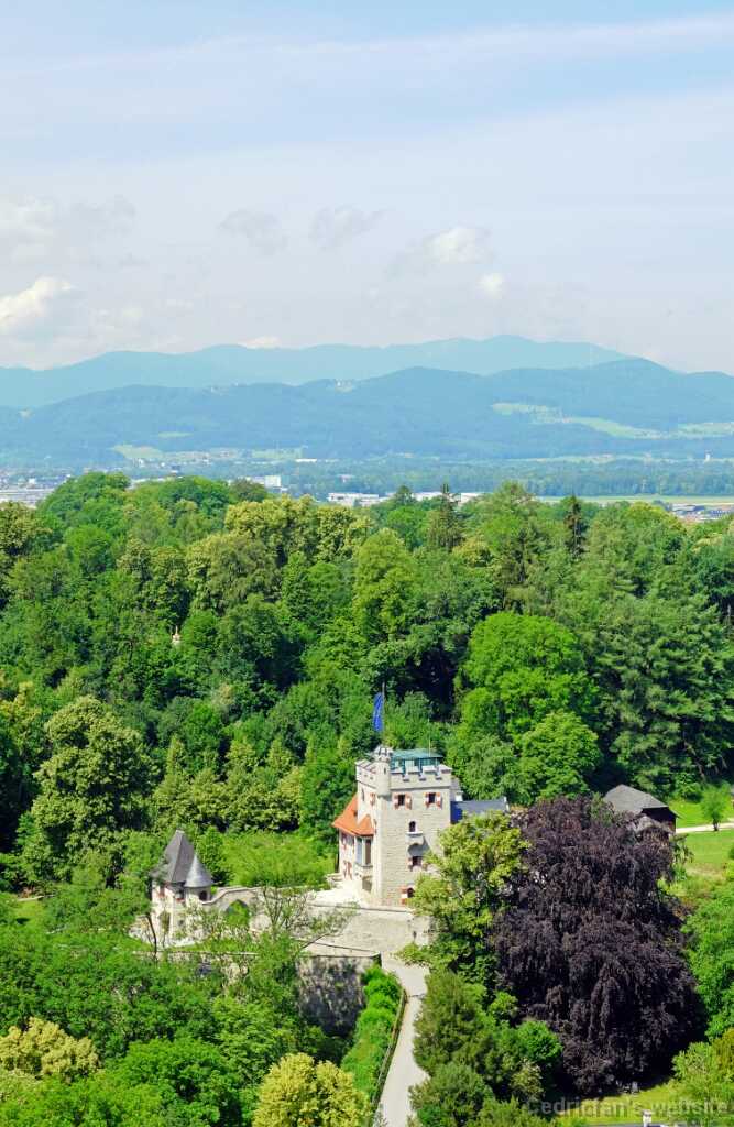 DSCF9653