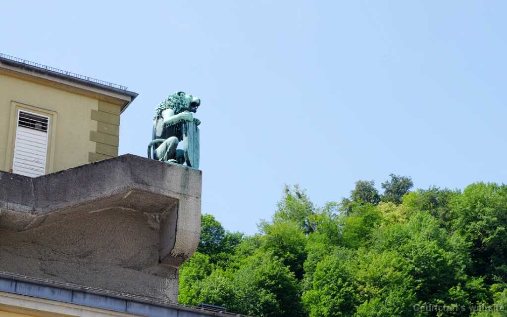 DSCF9679