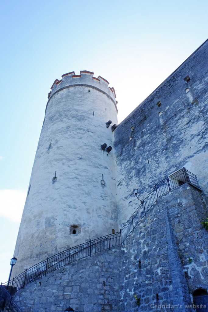 DSCF9617