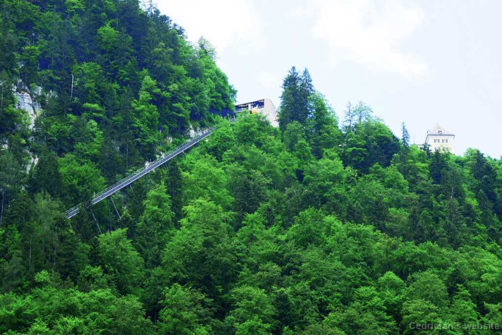DSCF9731