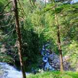 DSCF9756