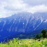 DSCF9758