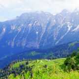 DSCF9767