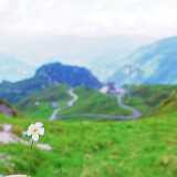DSCF9872