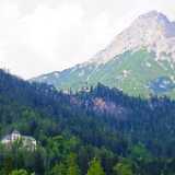 DSCF9928