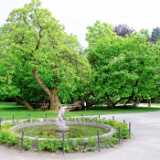 DSCF0023