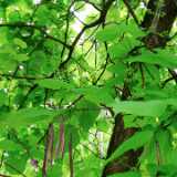 DSCF0026
