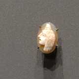 DSCF0144