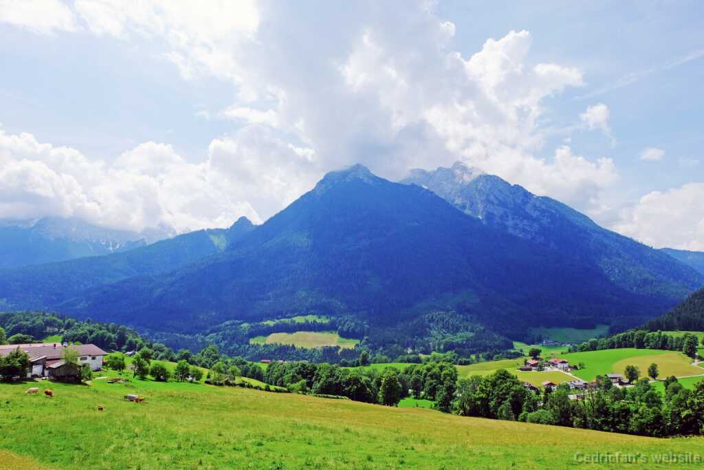 DSCF9539