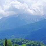 DSCF9537
