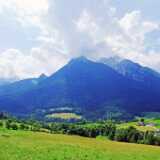 DSCF9539