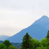 DSCF9614