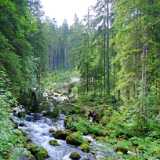 09_GollingerWasserfalle